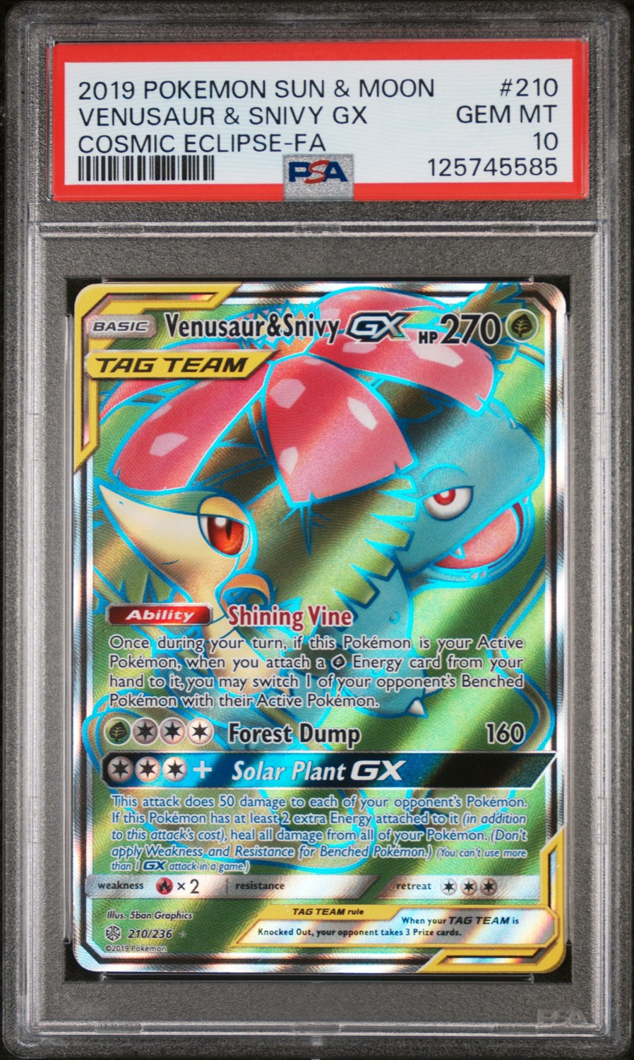 Venusaur & Snivy GX