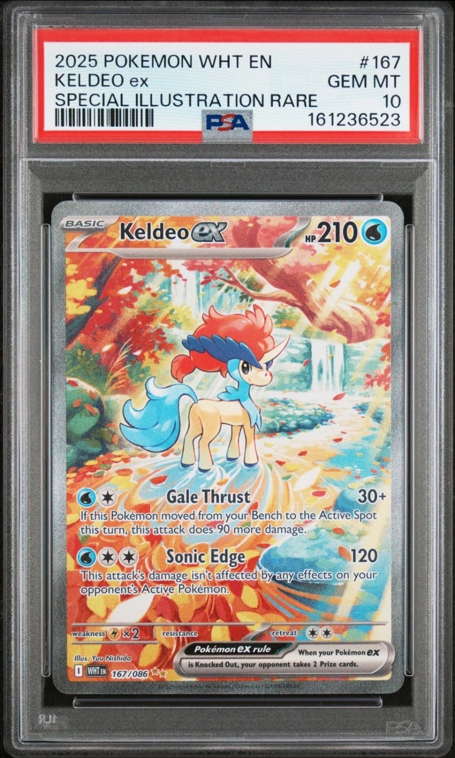 KELDEO ex