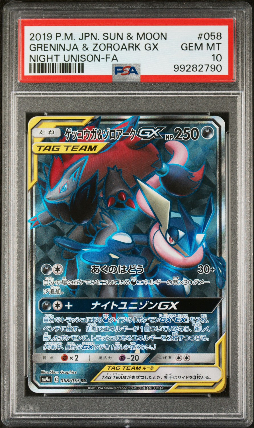 Greninja & Zoroark GX