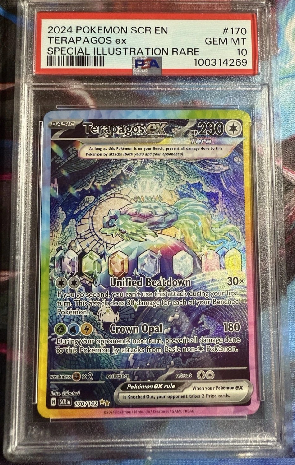 TERAPAGOS ex