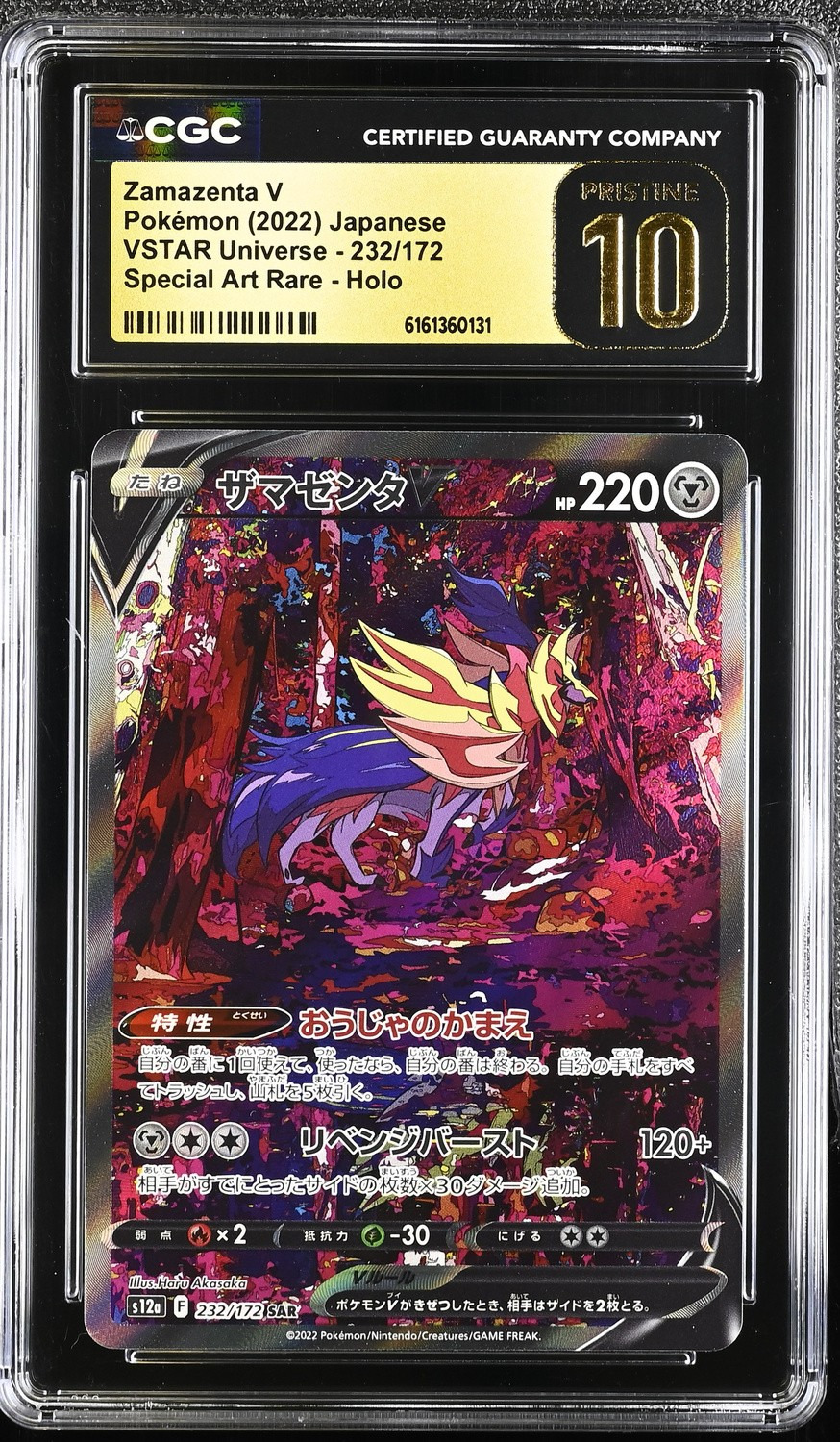 Zamazenta V