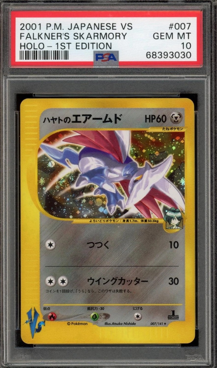 Falkner's Skarmory