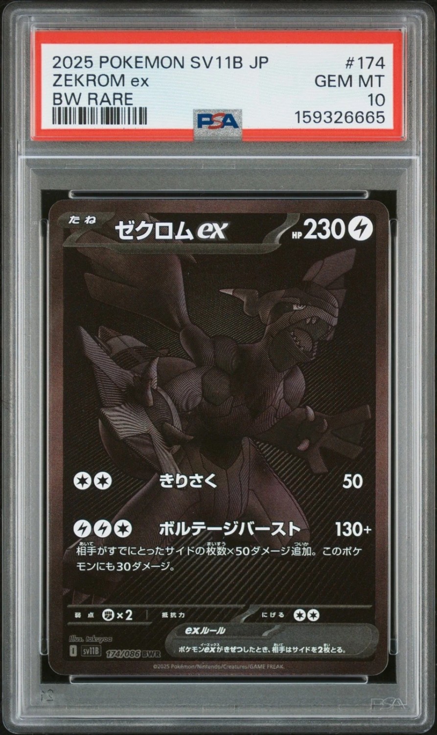 ZEKROM ex