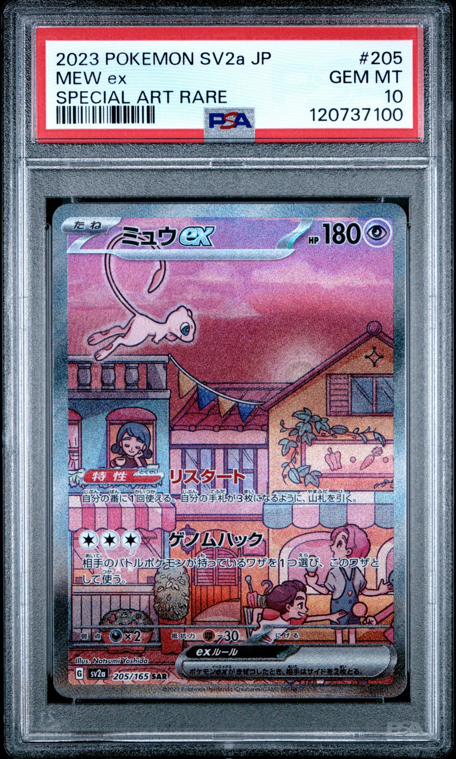 MEW ex
