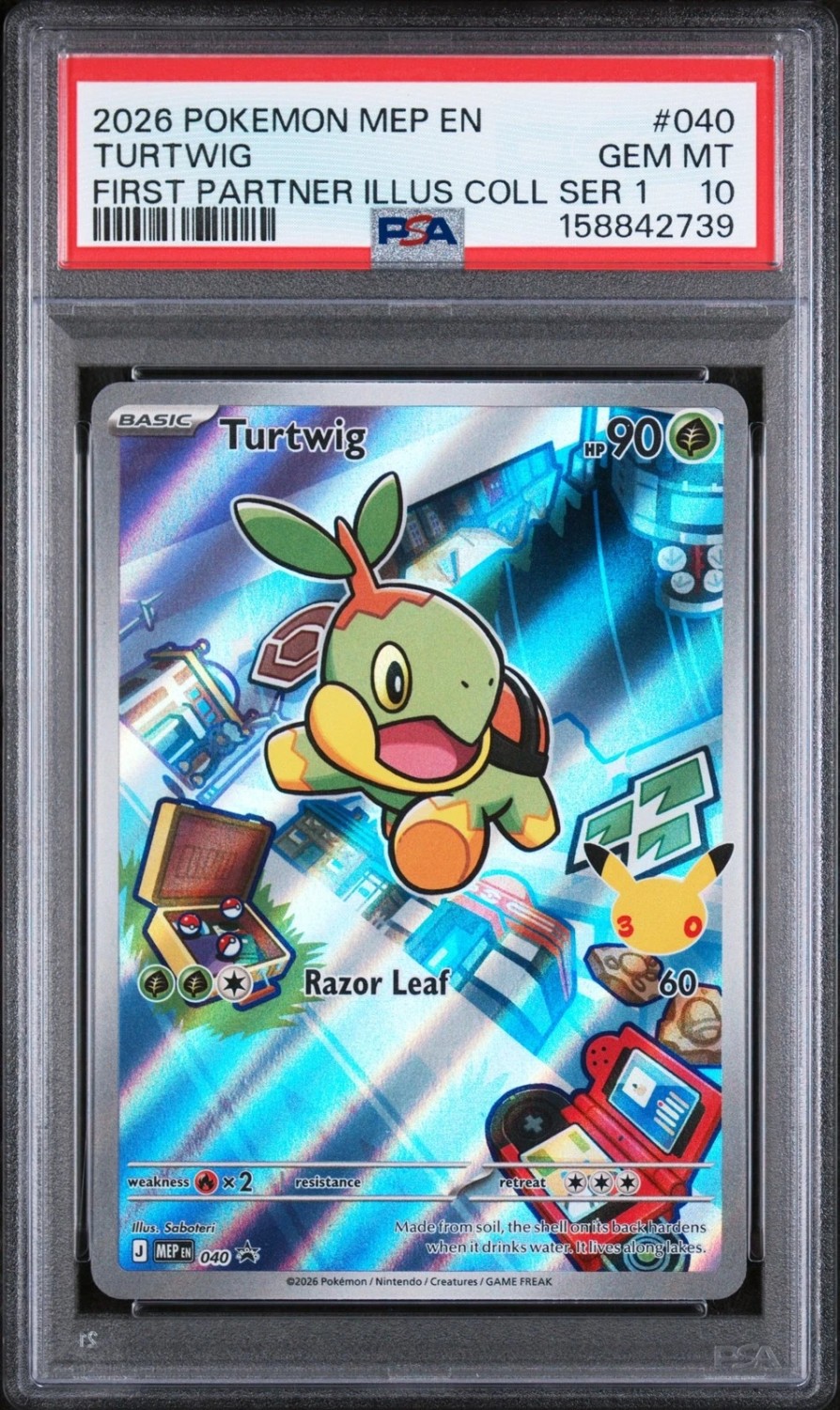 Turtwig