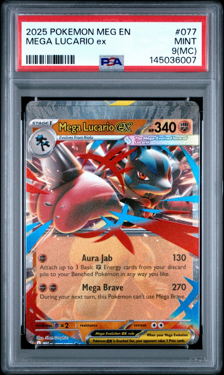 MEGA LUCARIO ex