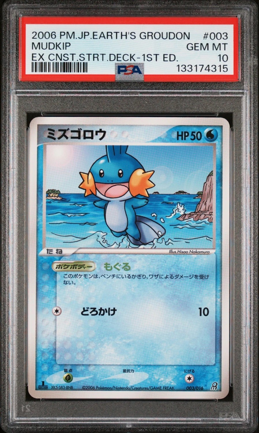 Mudkip