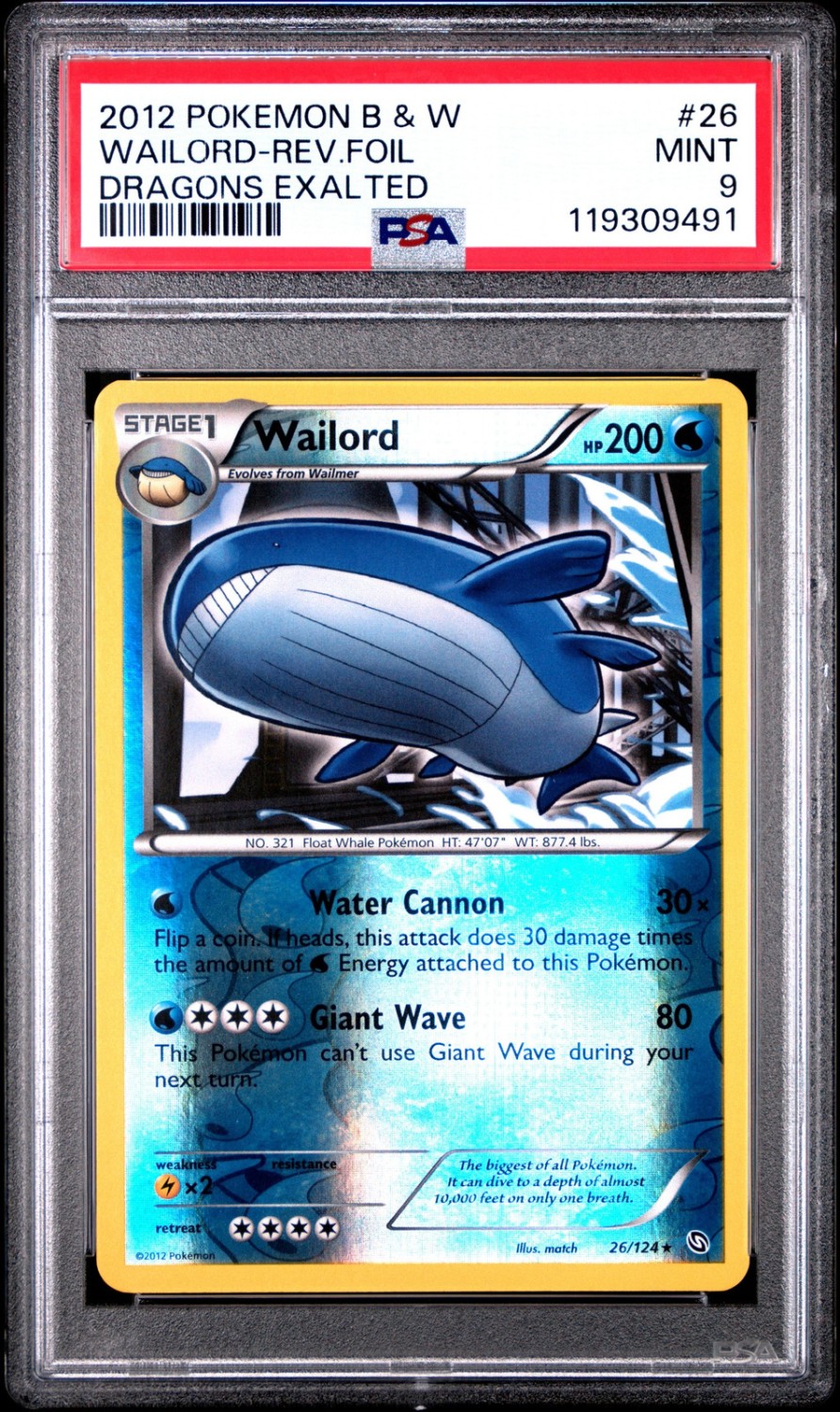 Wailord