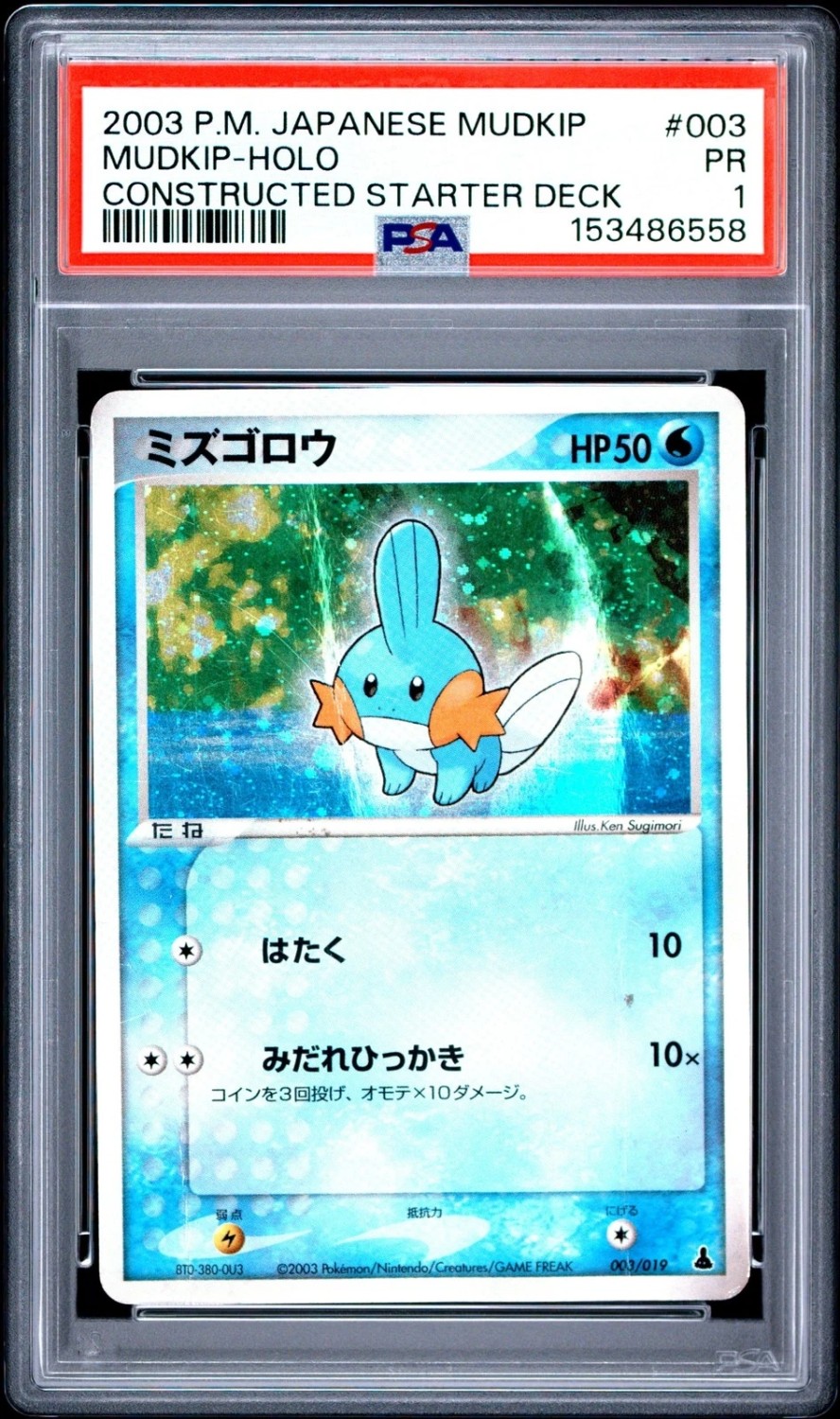 Mudkip
