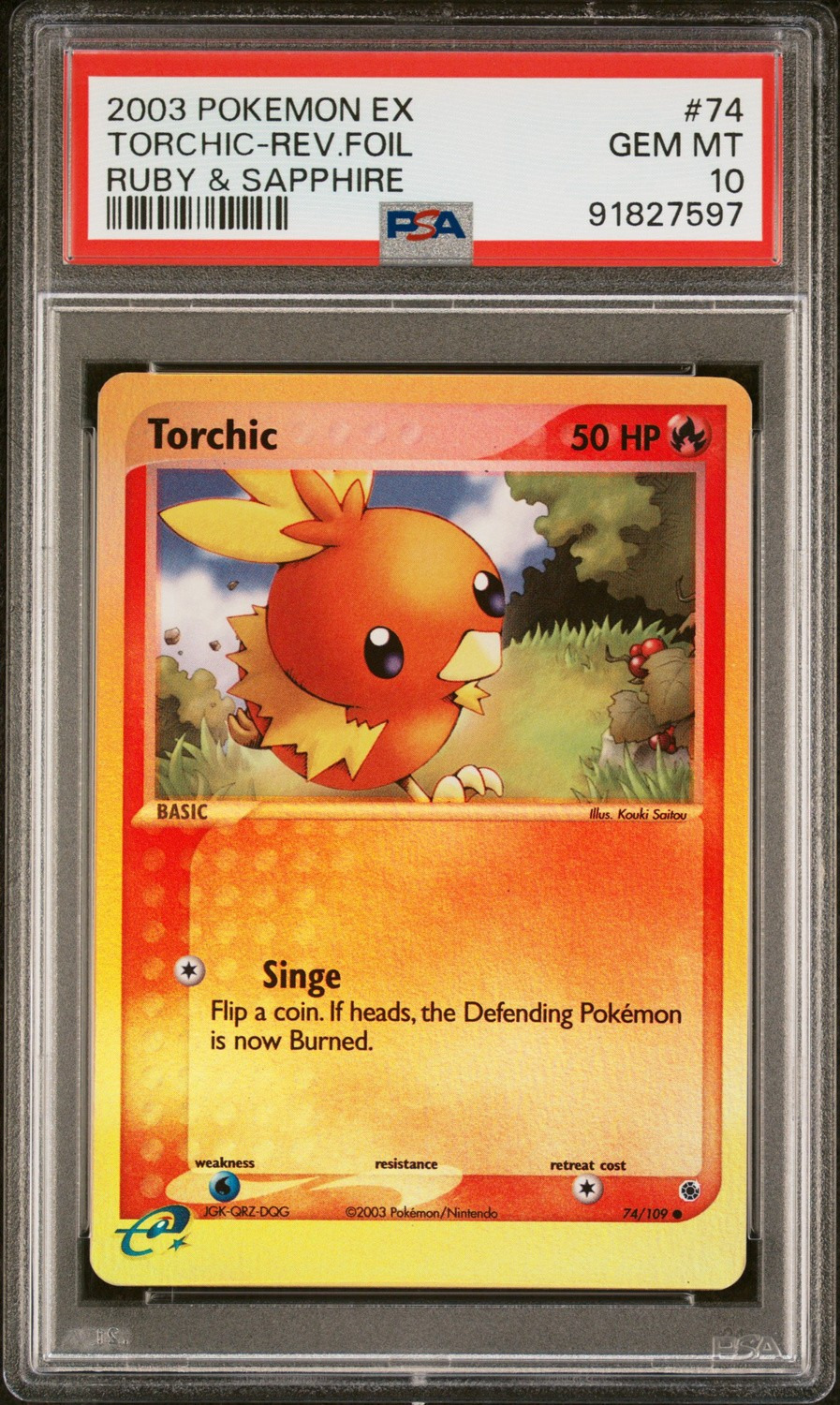Torchic