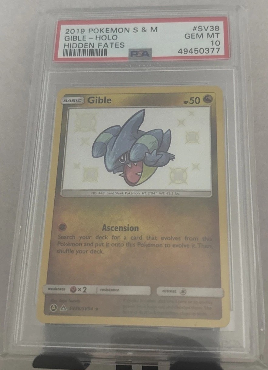 Gible