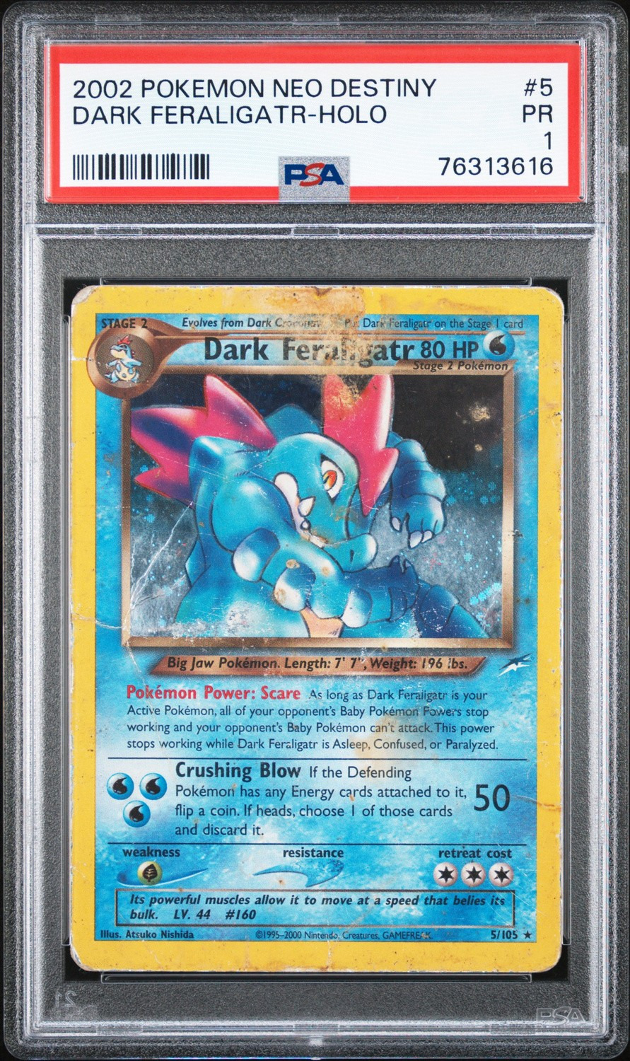 Dark Feraligatr