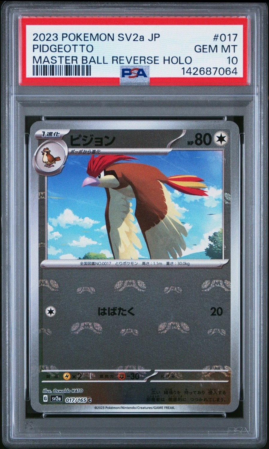 Pidgeotto