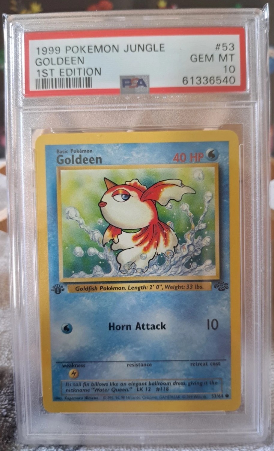 GOLDEEN