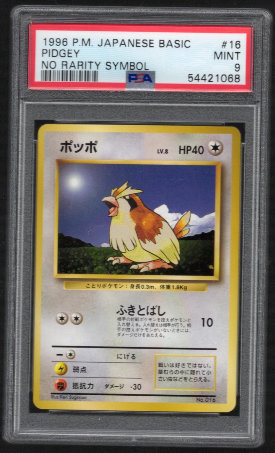 Pidgey