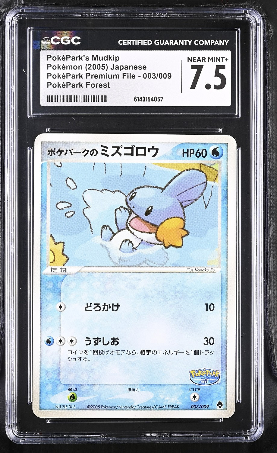 PokéPark's Mudkip