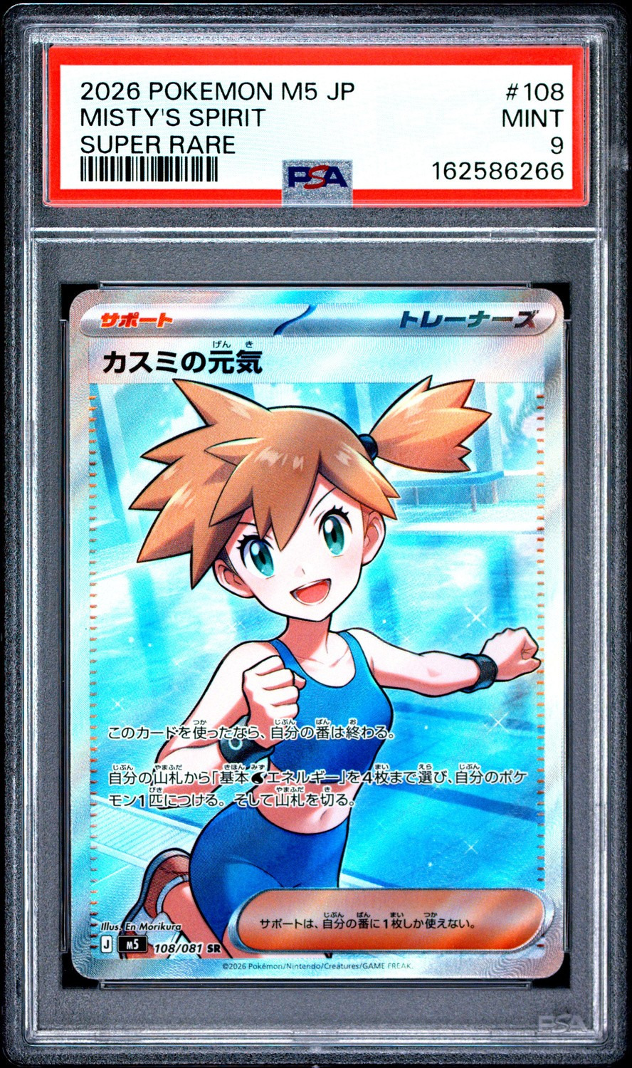 Misty's Spirit