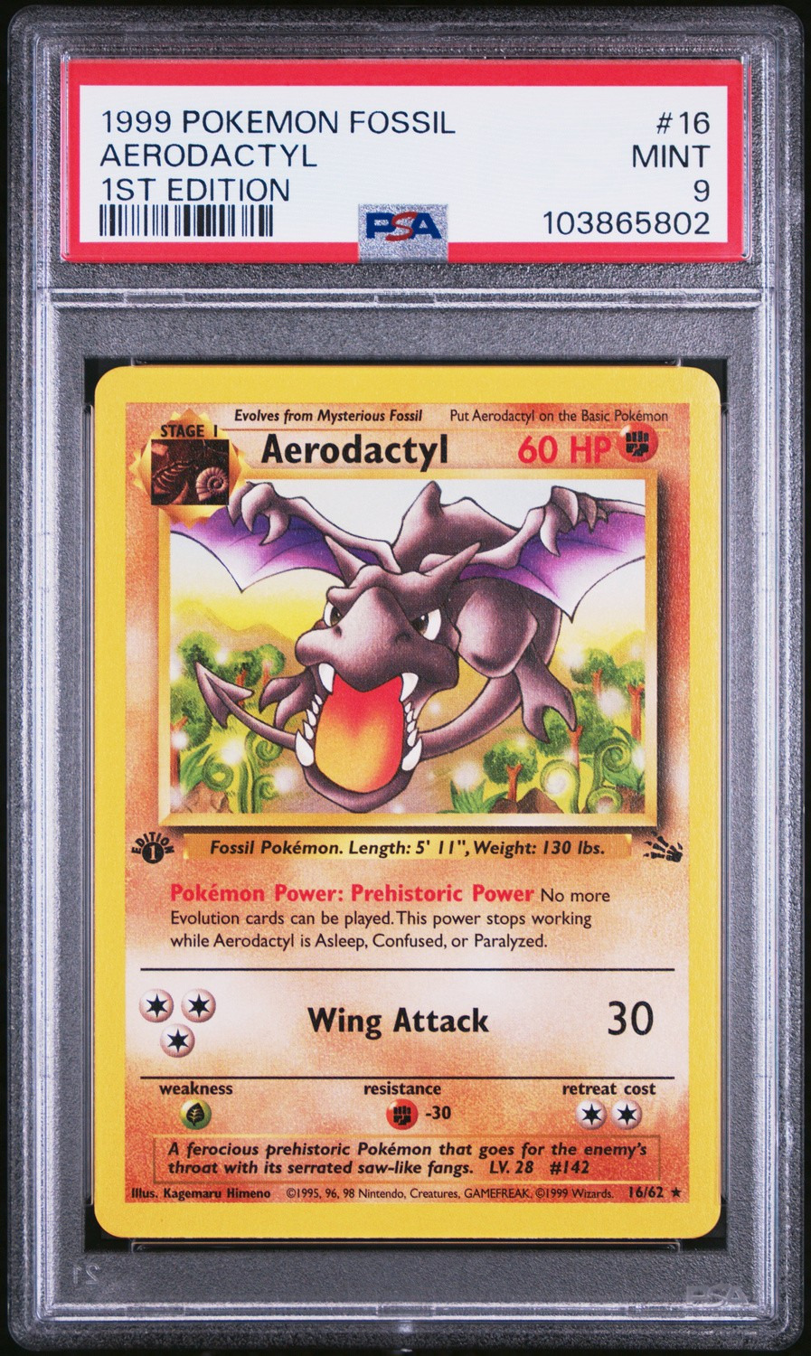 Aerodactyl