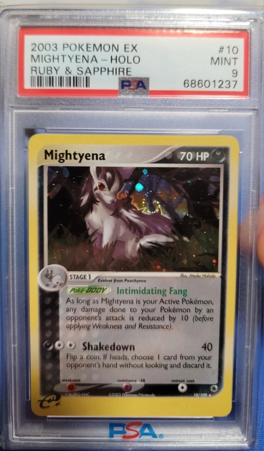 Mightyena