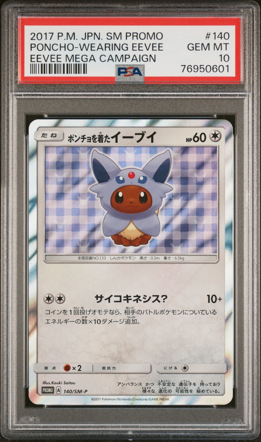 Poncho-Wearing Eevee