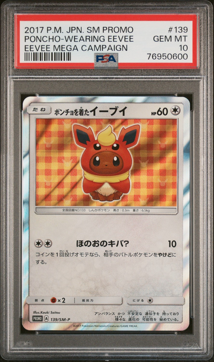 Poncho-Wearing Eevee
