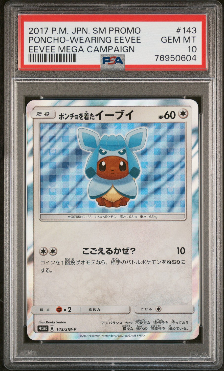 Poncho-Wearing Eevee