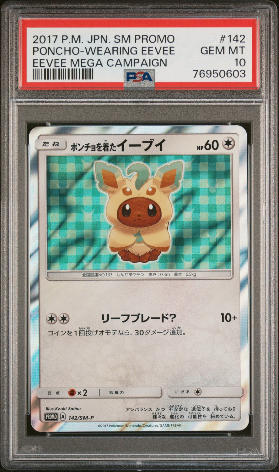 Poncho-Wearing Eevee