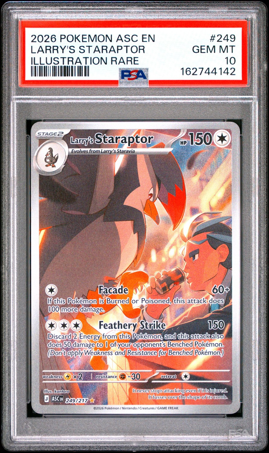 Larry's Staraptor