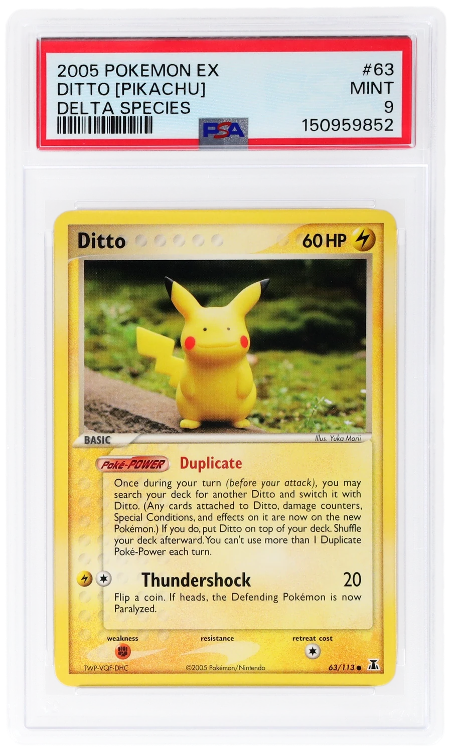 Ditto [Pikachu]