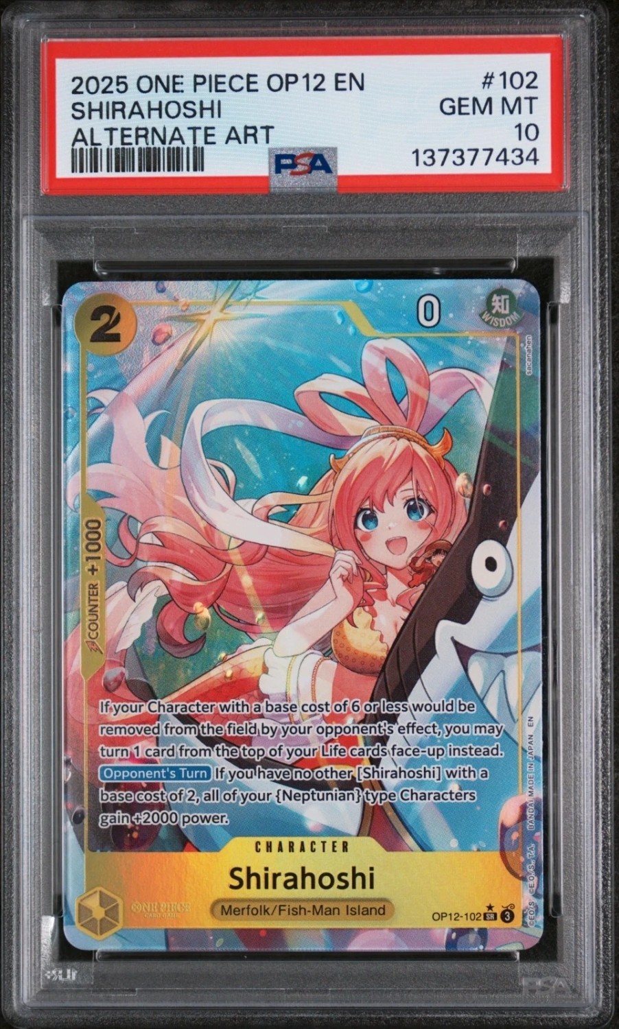 Shirahoshi