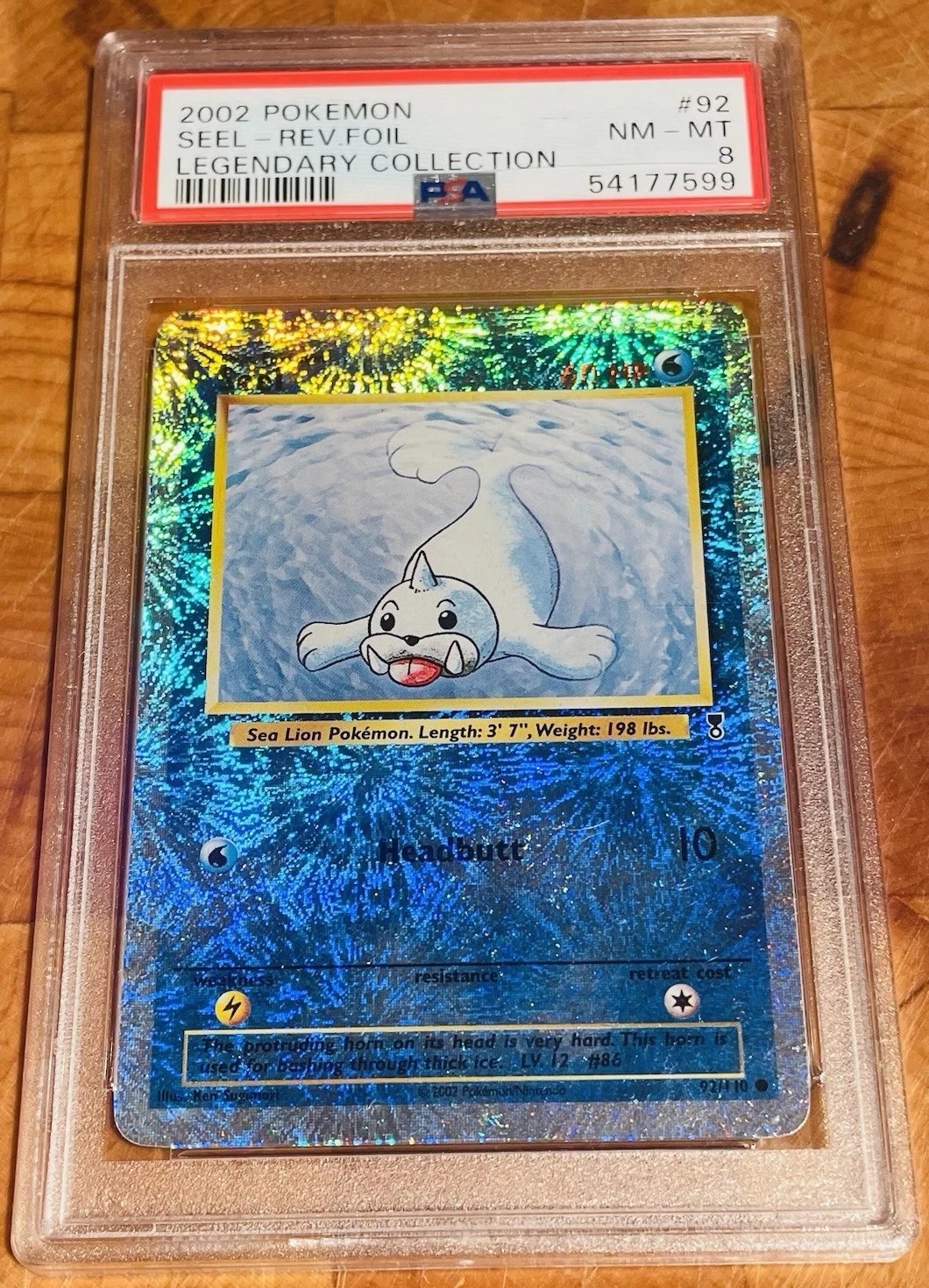 Seel