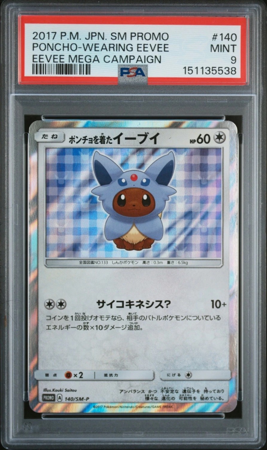 Poncho-Wearing Eevee