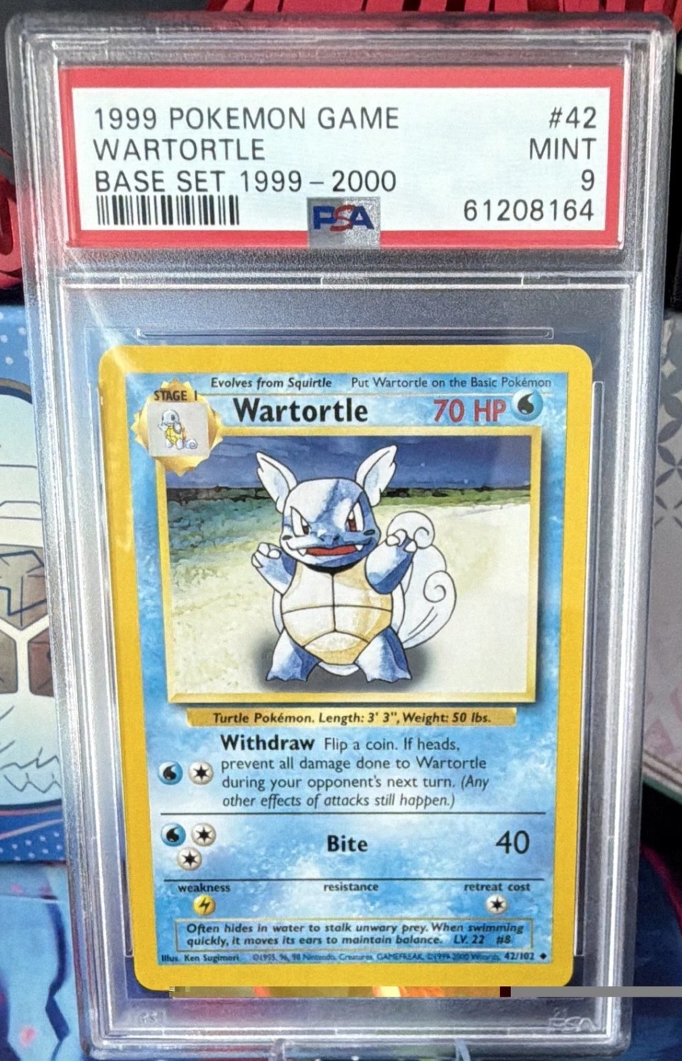 WARTORTLE