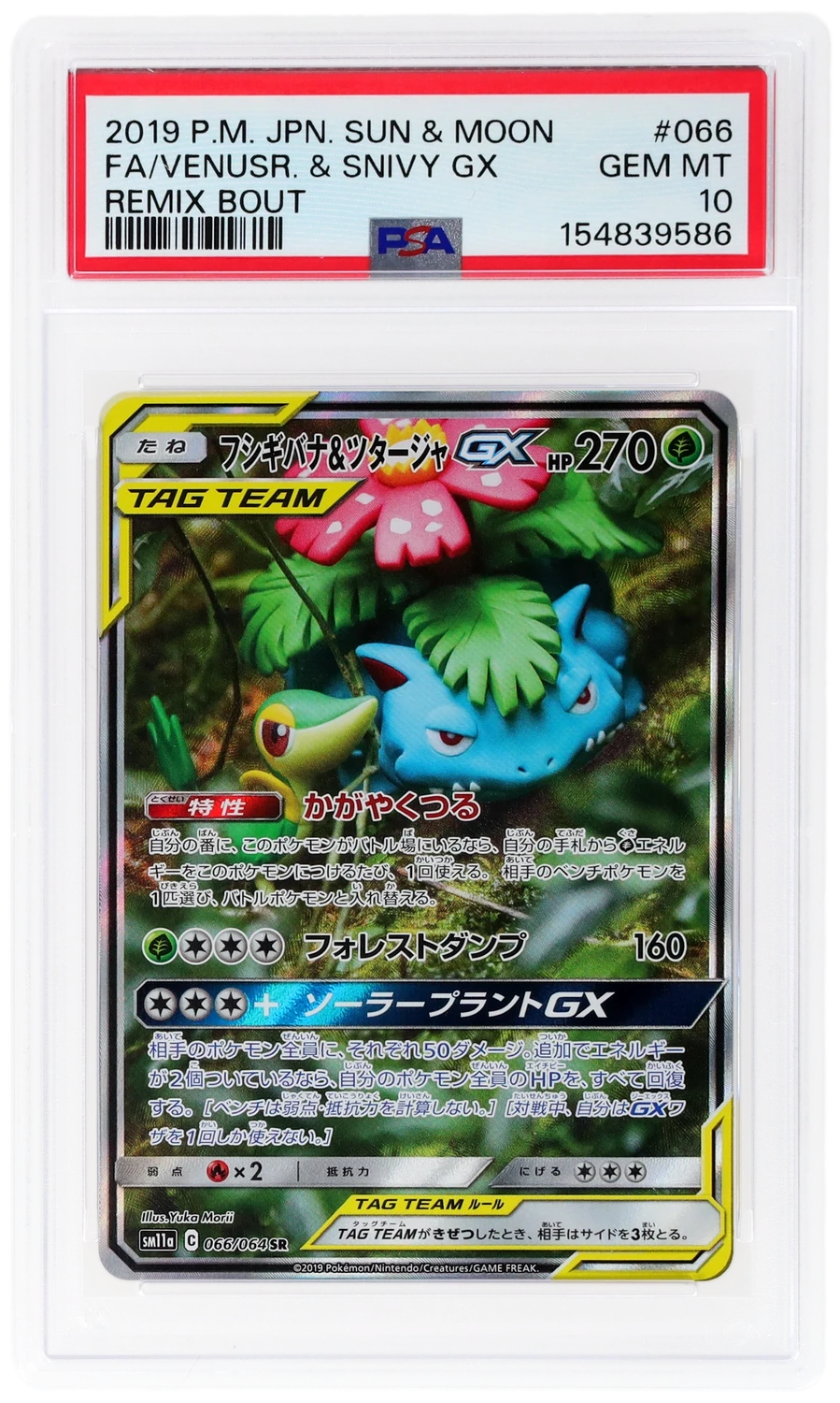 Venusaur & Snivy GX