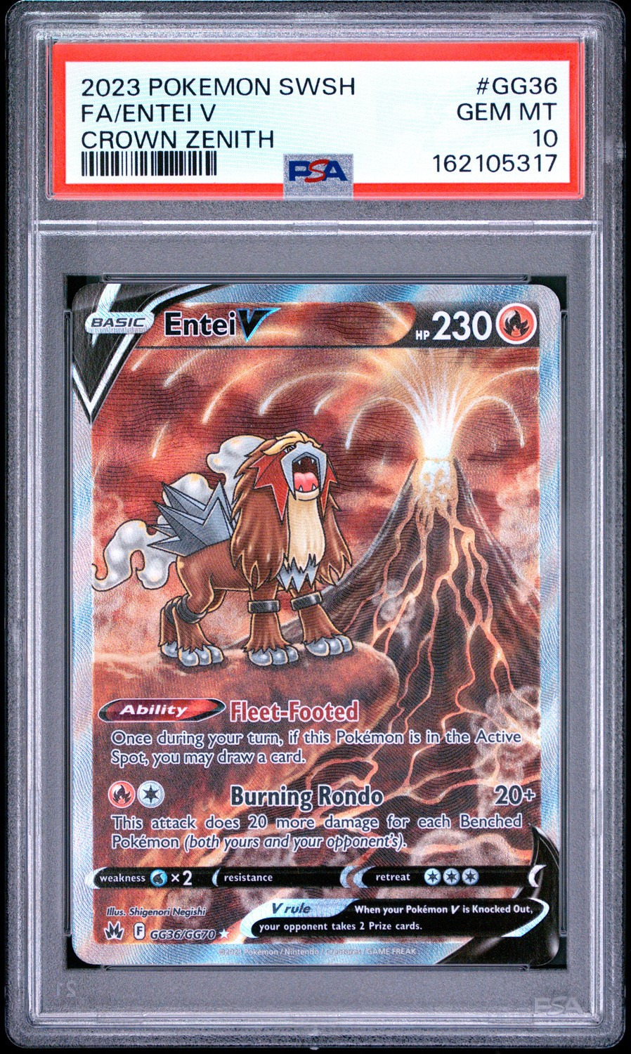 Entei V
