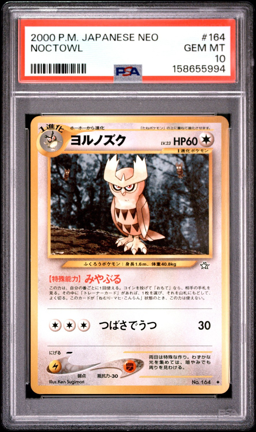 Noctowl