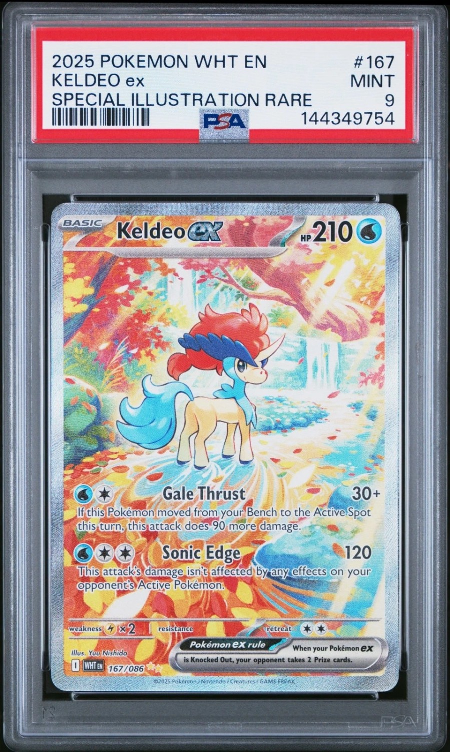 KELDEO ex