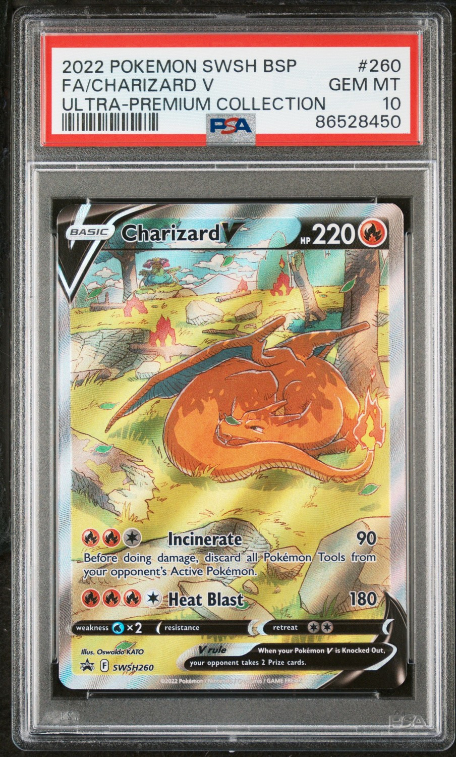Charizard V