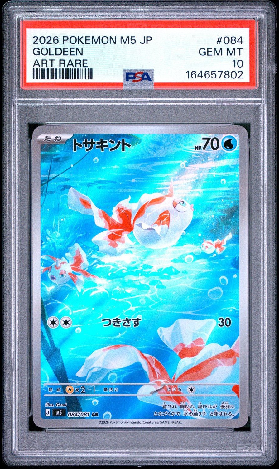 Goldeen