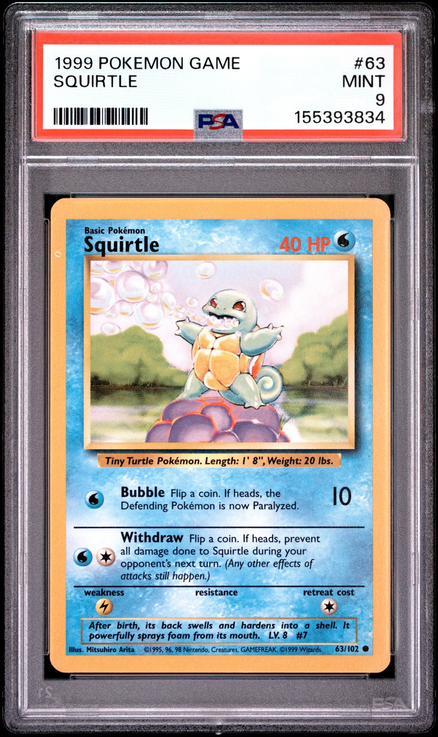 Squirtle