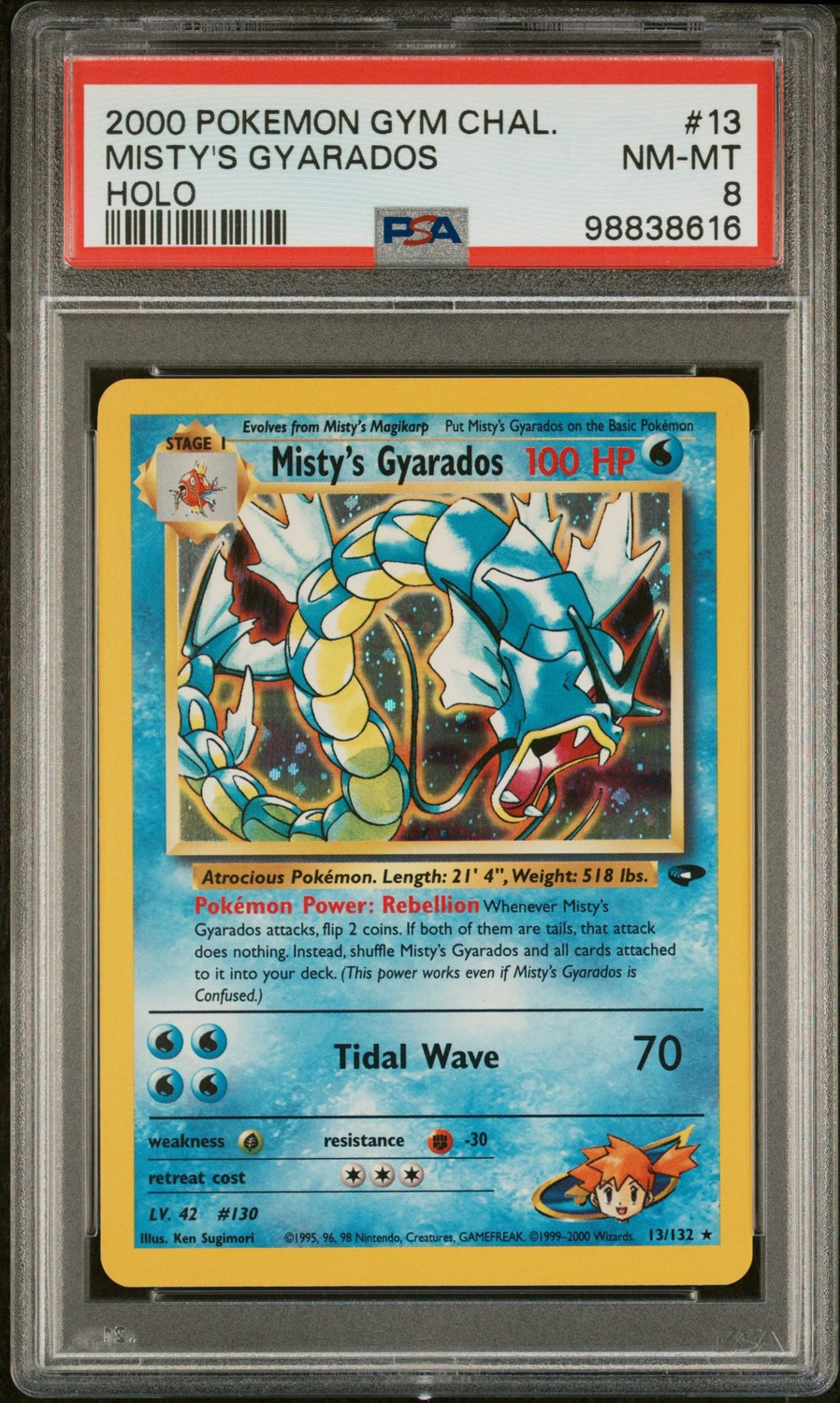 Misty's Gyarados