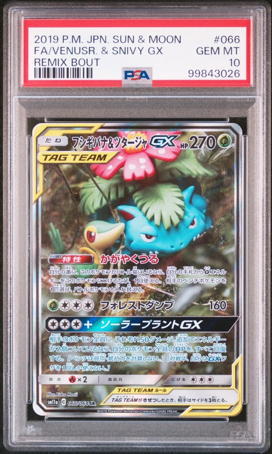 Venusaur & Snivy GX