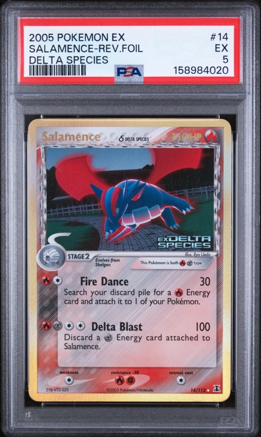Salamence