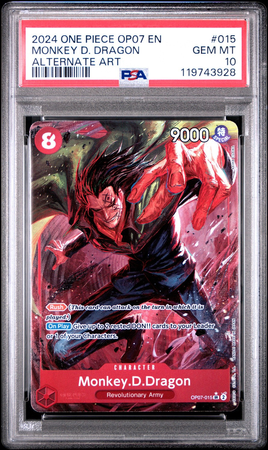 Monkey D. Dragon