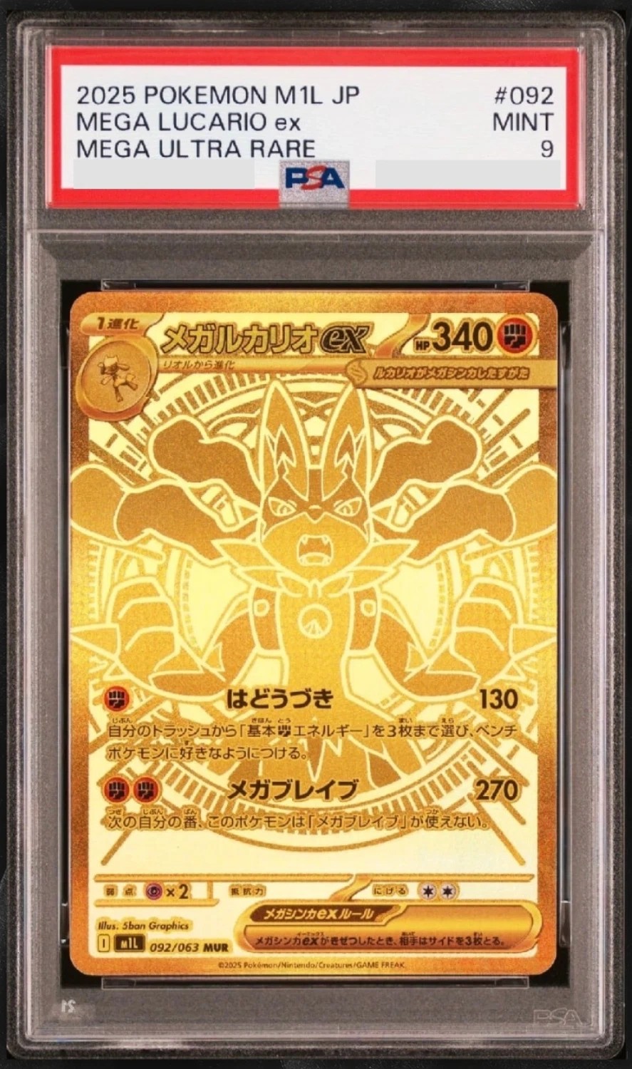 MEGA LUCARIO ex