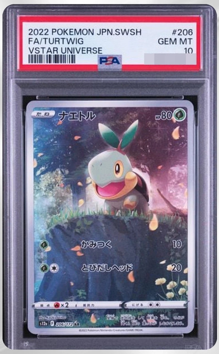 Turtwig
