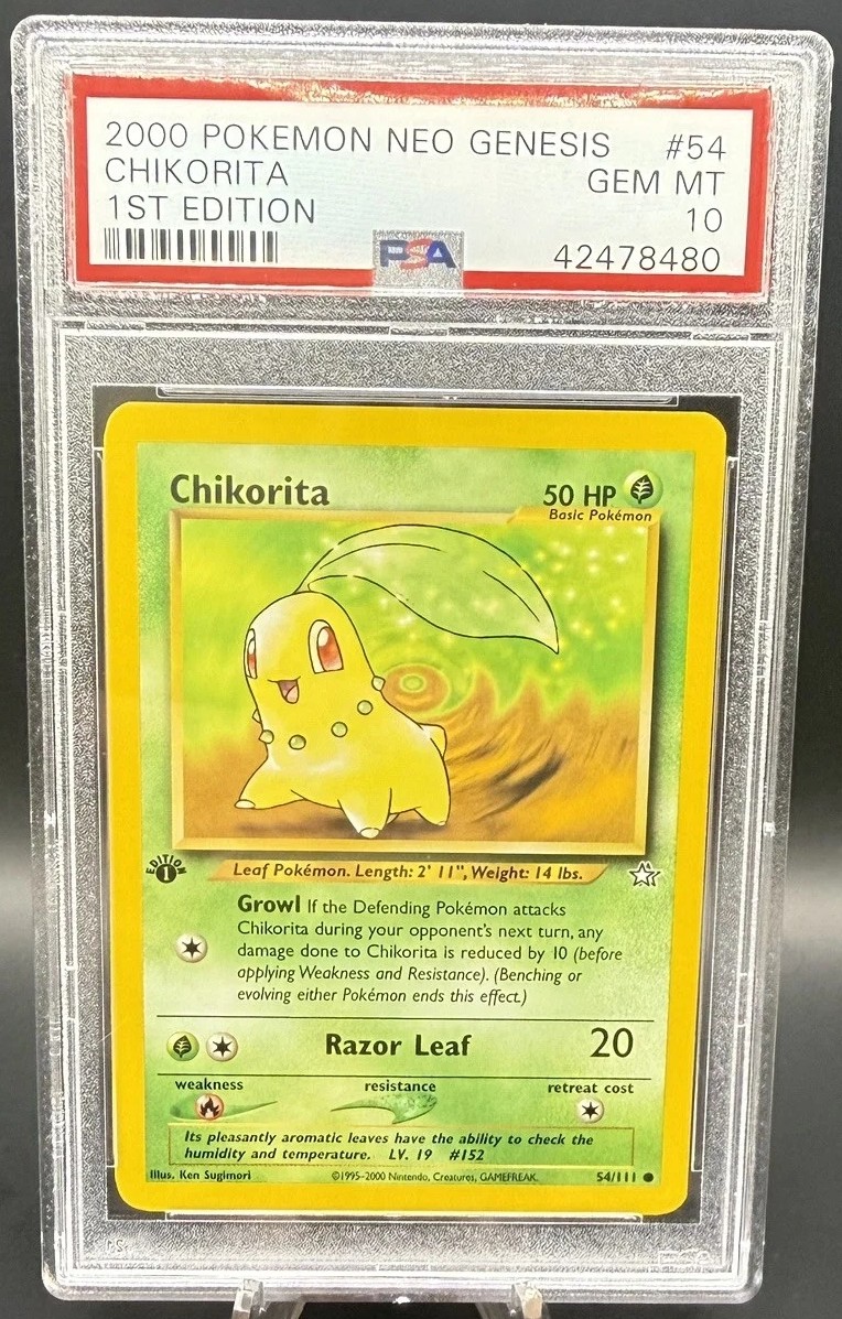Chikorita