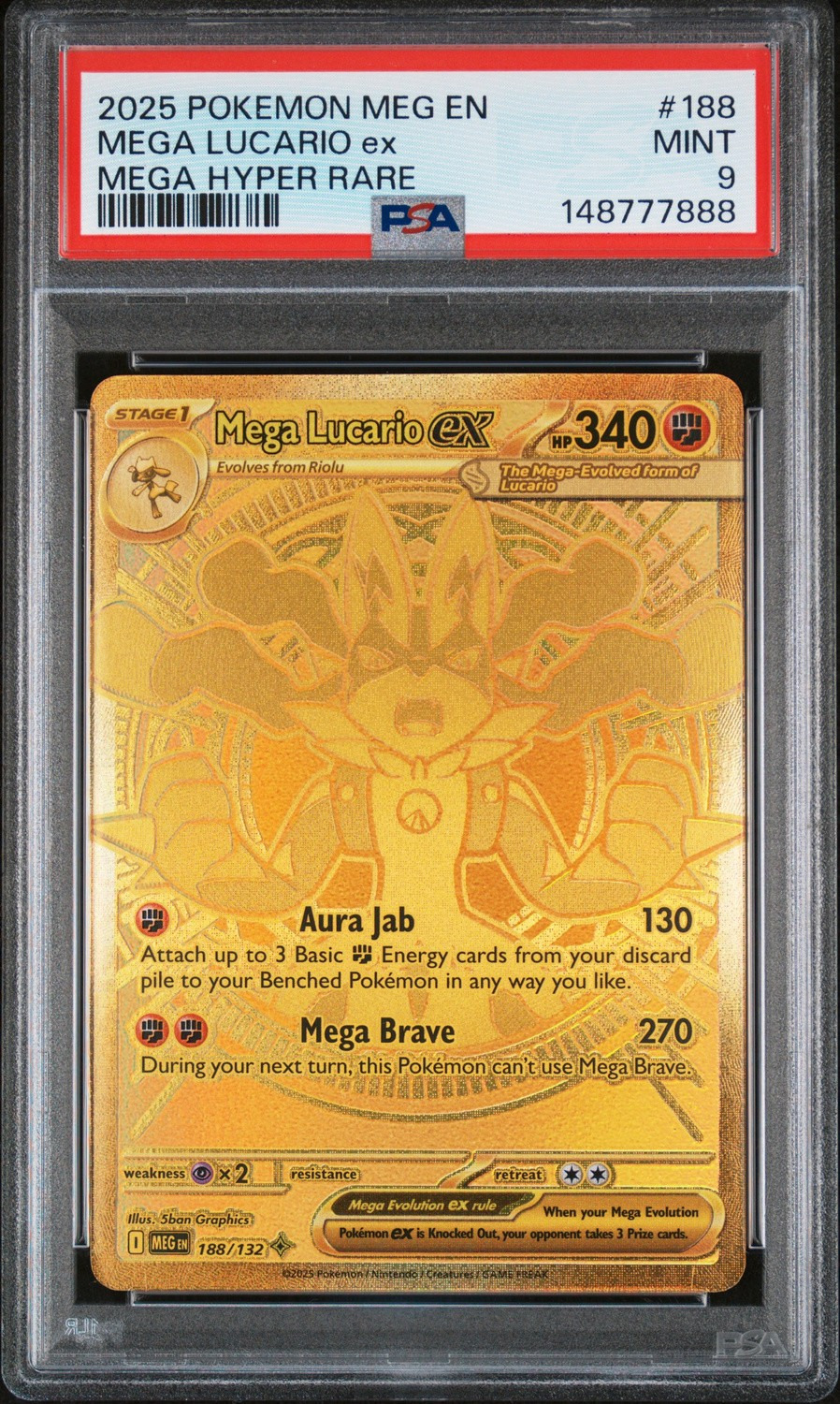 MEGA LUCARIO ex