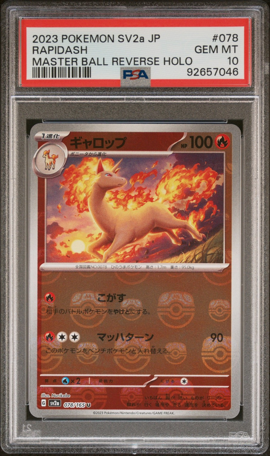Rapidash