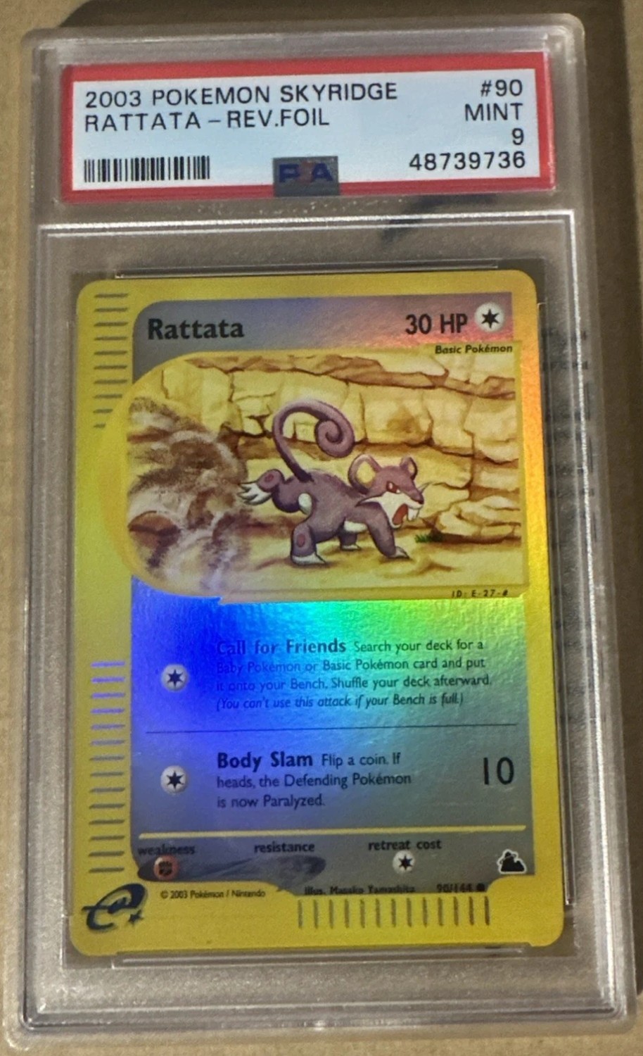 Rattata C